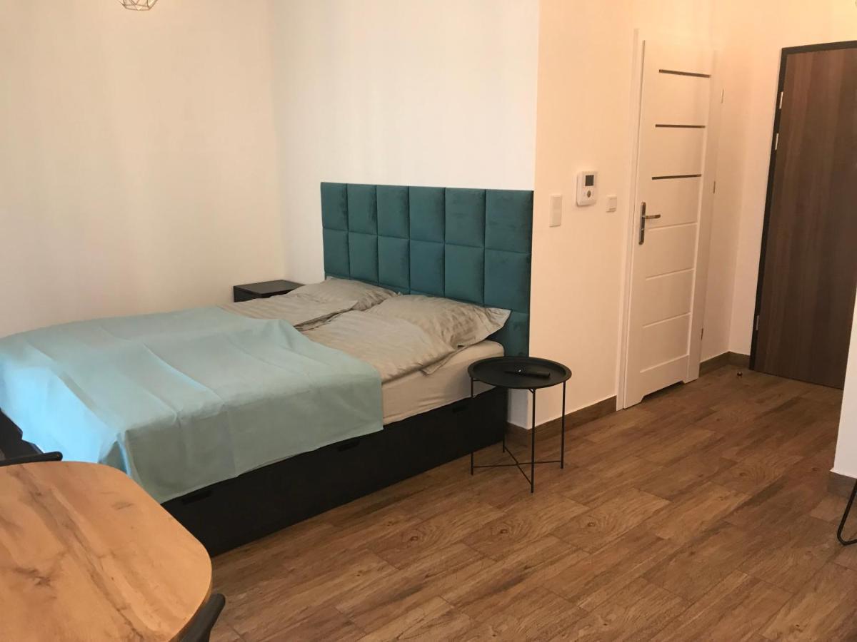 קרקוב Steam Park Rakowicka Koper Apartment מראה חיצוני תמונה