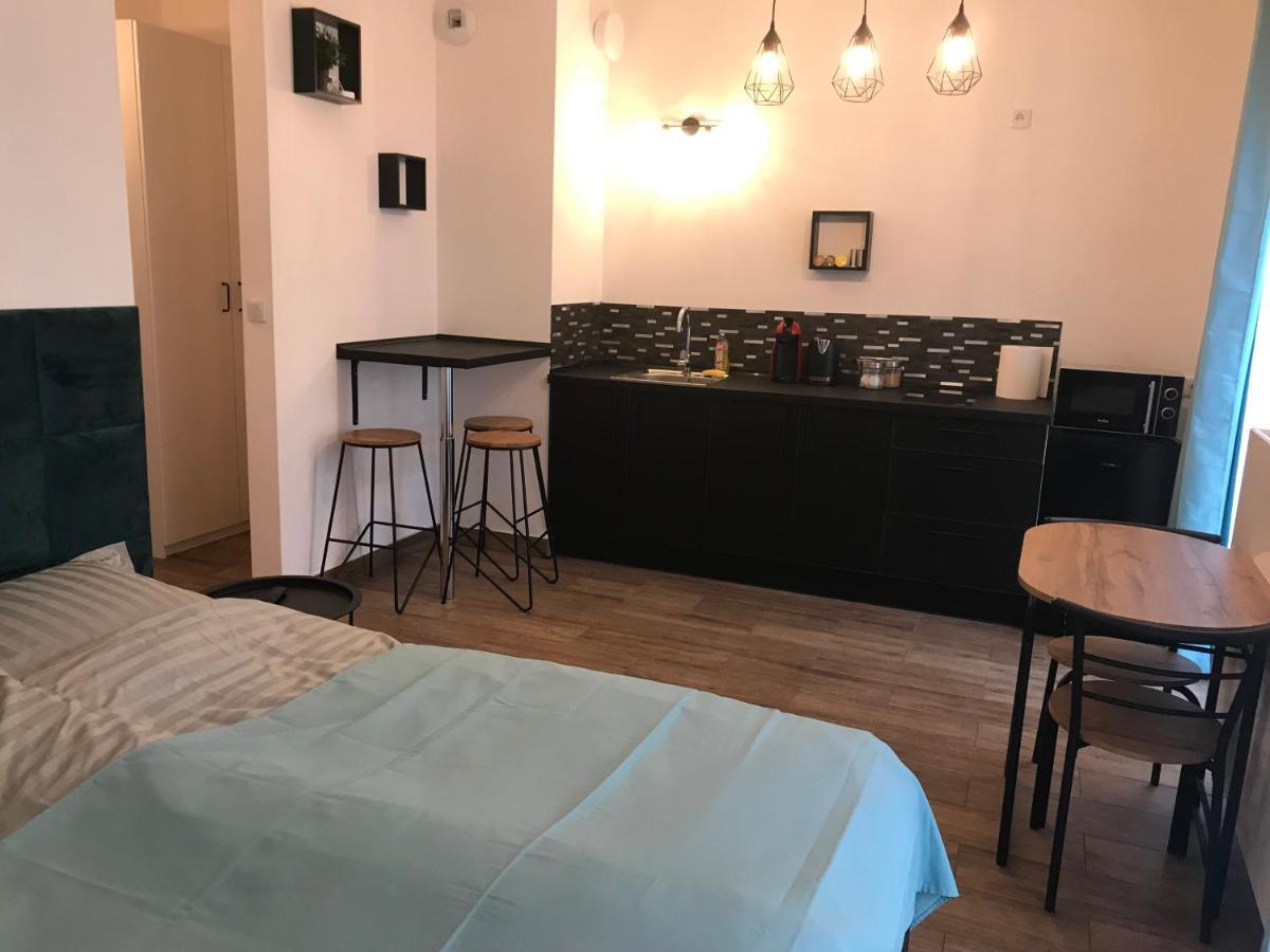 קרקוב Steam Park Rakowicka Koper Apartment מראה חיצוני תמונה